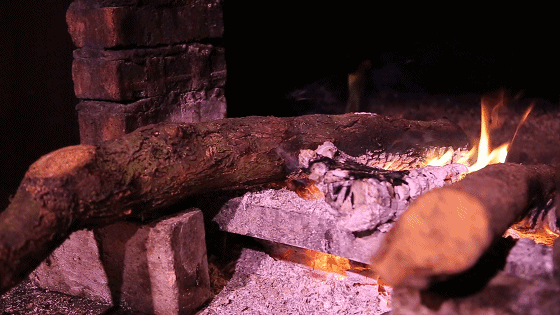 1584251739673404.gif 20200315134502.gif