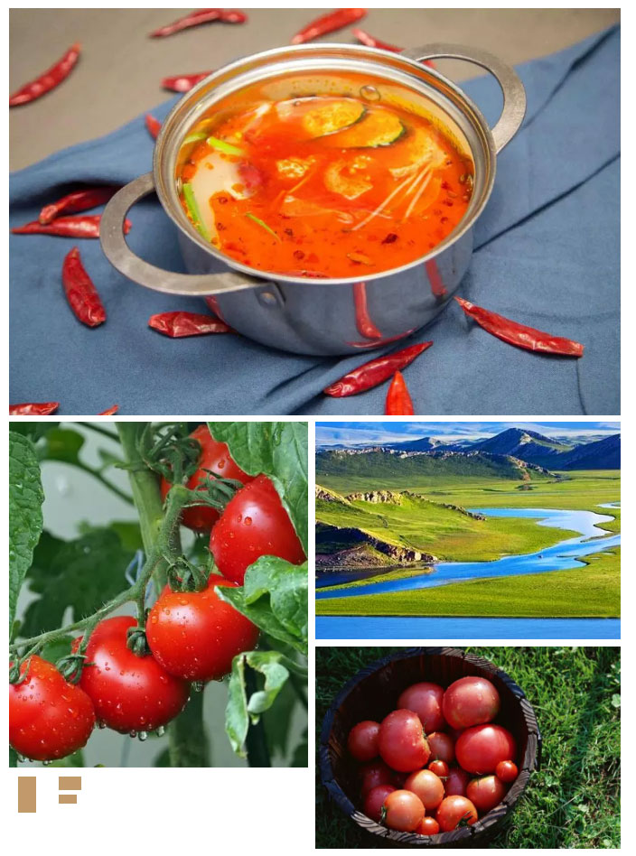 1584251904777627.jpg 02.jpg